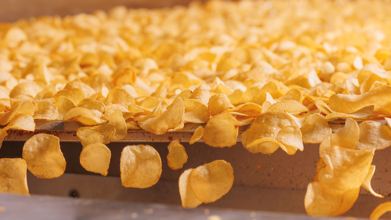 production line of potato chips