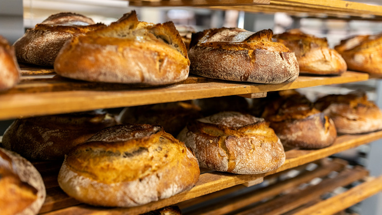 Shelves of loaves of bread in a bakery