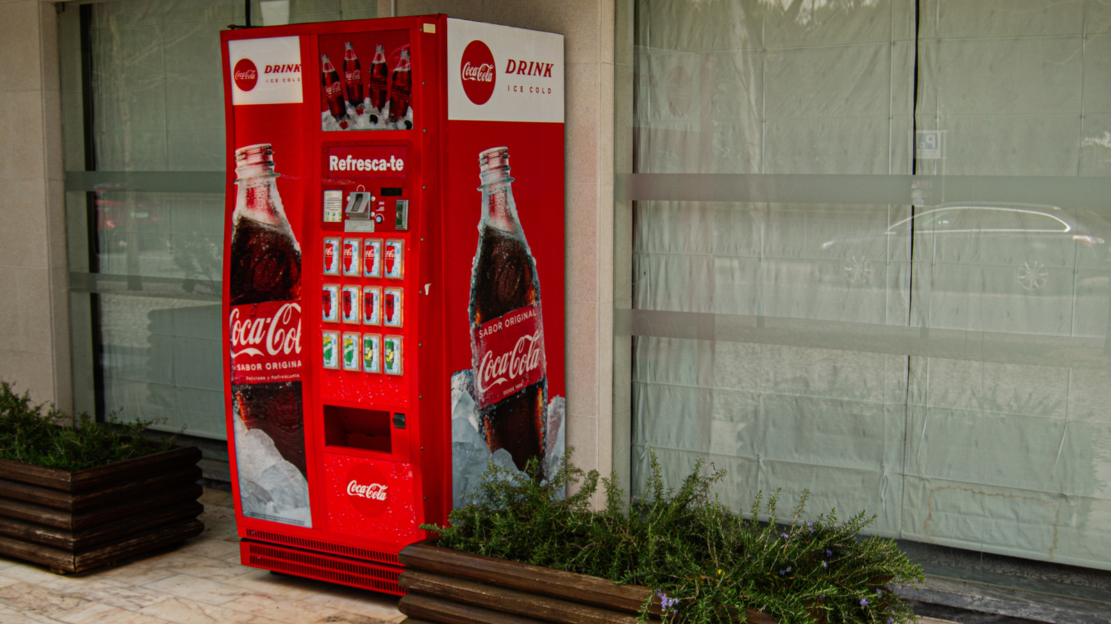 The Strict Rules Coca-Cola Has For Selling Its Beverages In Schools