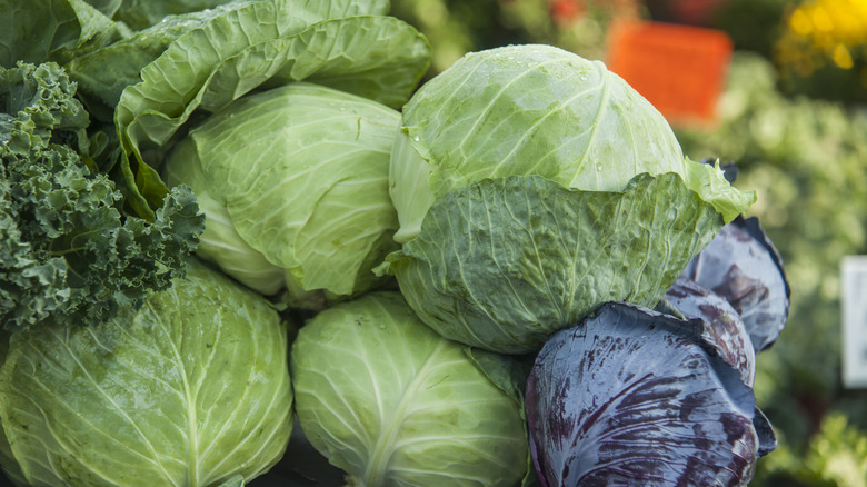 Pile of cabbages of different colors