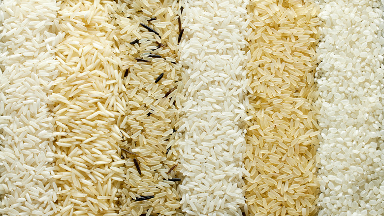 Different types of rice in vertical lines
