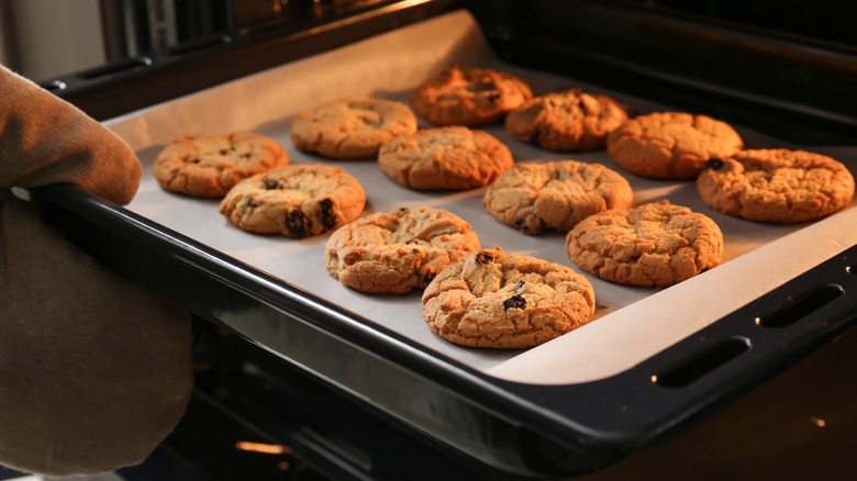 Chocolate chip cookies being taken from oven