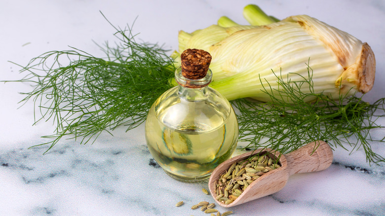 Fennel seeds, oil in a short glass bottle, and fresh fennel.