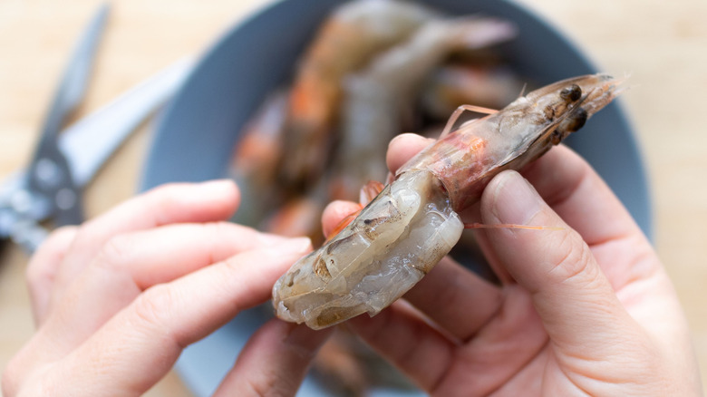An illustrative image showing an individual deveining a large shrimp.