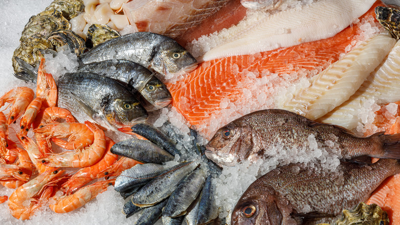 Assortment of fresh seafood on ice