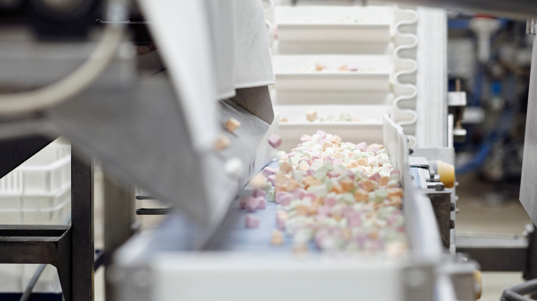 Marshmallows on conveyer belt