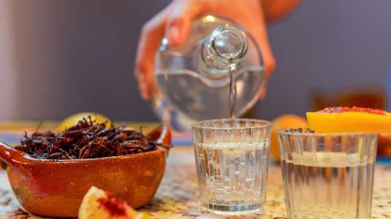 A person pouring a glass of mezcal