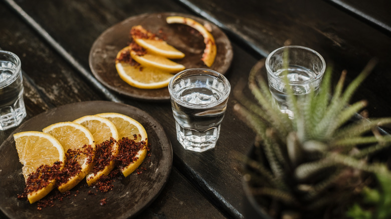 A shot of mezcal on a table with slices of orange sprinkled with sal de gusano
