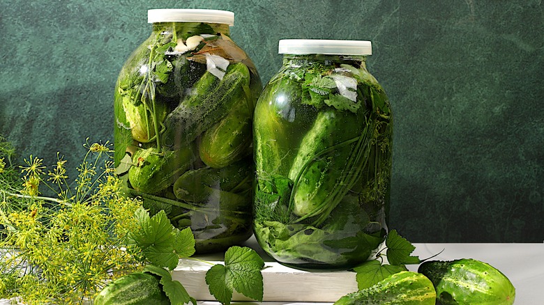 Jars of pickles and fresh herbs