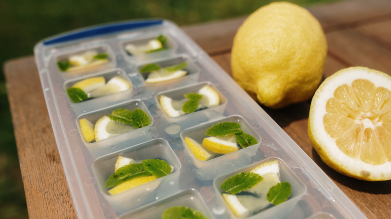 cut lemon and ice cube tray