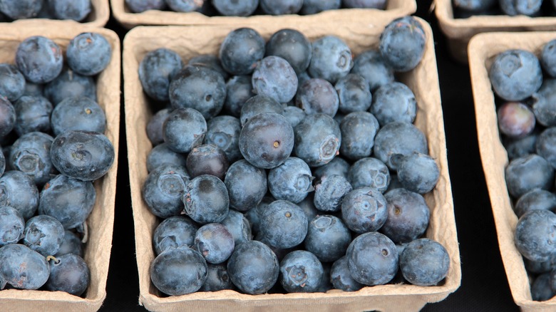 Blueberries in a cardboard carton