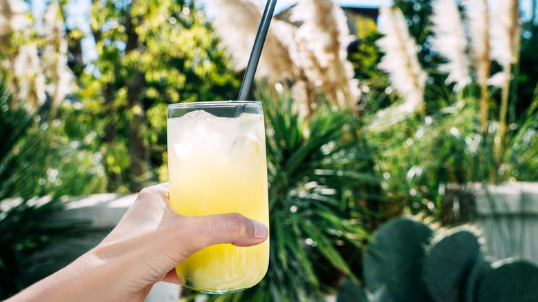 A hand holding a classic iced lemonade in a glass with a straw, set against lush, tropical plants
