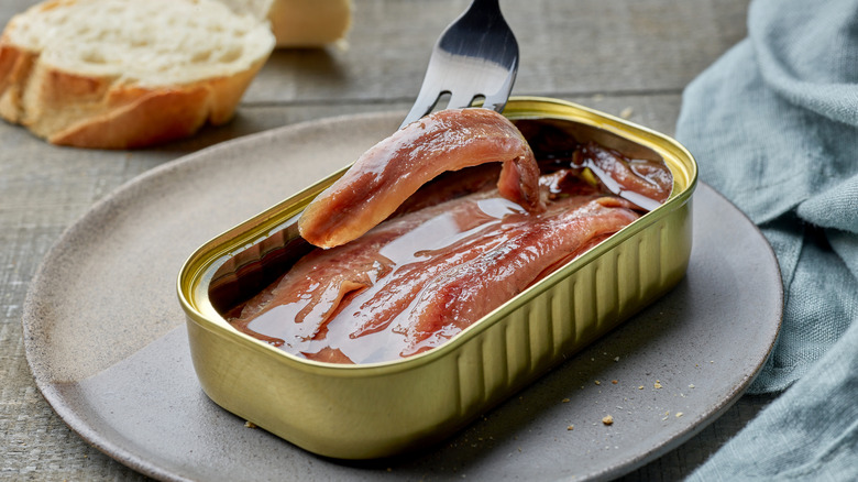 A fork pulling an anchovy fillet out of the tin on a grey plate, a slice of baguette and a tea towel in the background.