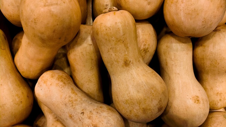 Selection of butternut squash.