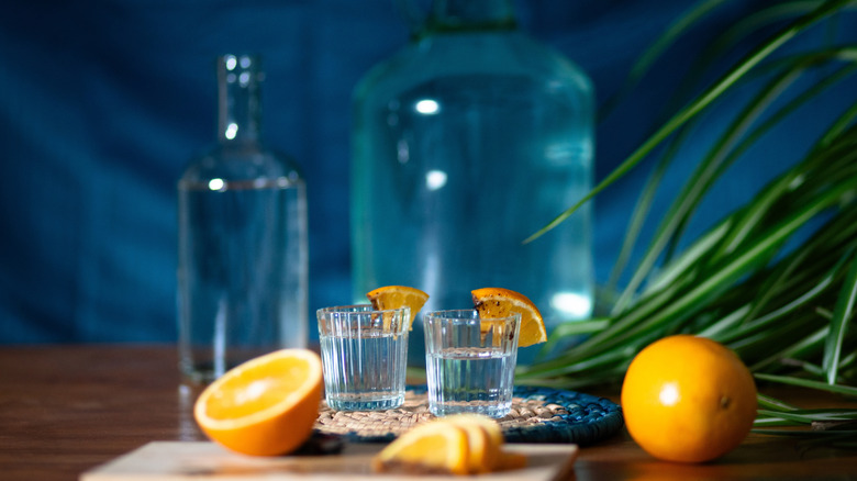 mezcal shots with orange