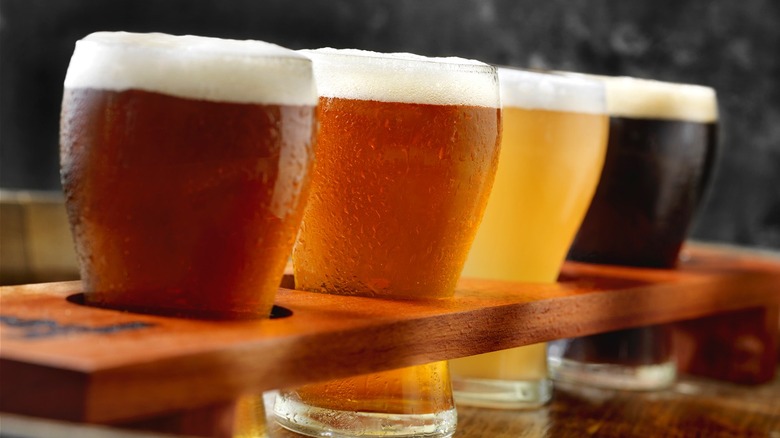 Craft beers served together in a sampler tray in a brewery