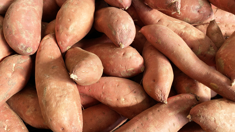 Pile of whole sweet potatoes