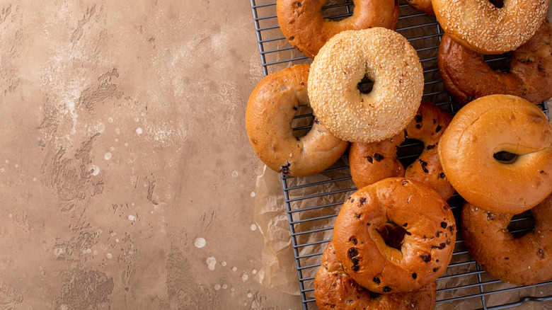A variety of freshly baked bagels on a cooling rack ready for breakfast