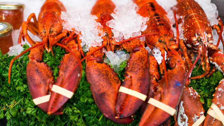 Lobsters on ice