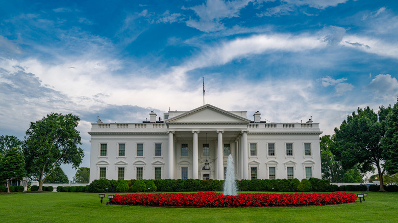 The White House under a blue sky with red flowers in front