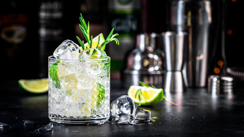 Gin and tonic in a glass with rosemary and lime
