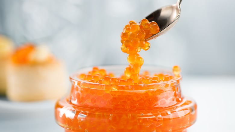 caviar on spoon