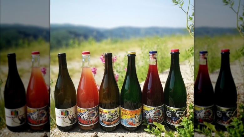 Staffelter Hof wines on hillside