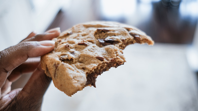 chocolate chip cookie