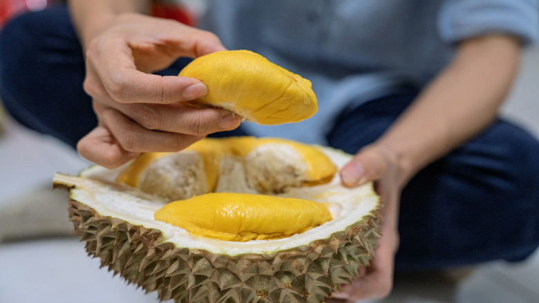 A person's hands presenting an opened durian fruit