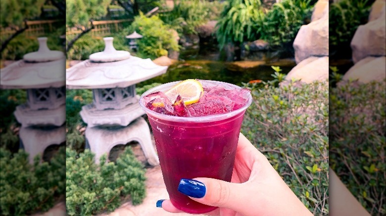 Violet Sake cocktail at Epcot