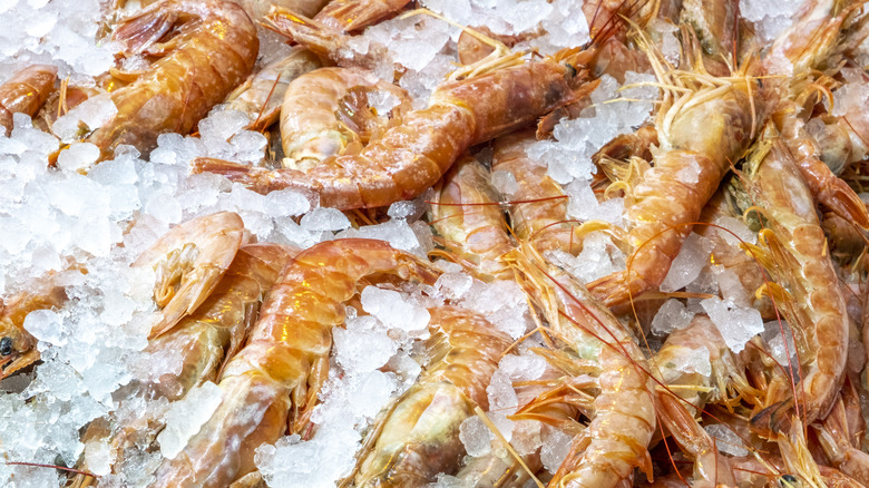 Prawns on ice at a market.