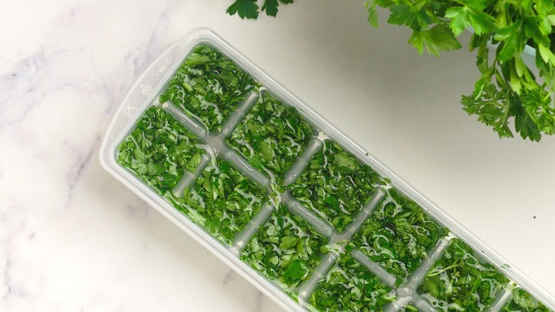 Frozen parsley in an ice cube tray