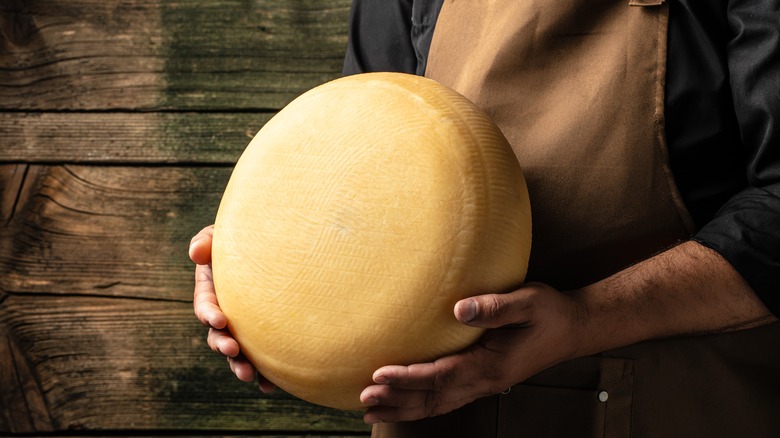 Person holding a cheese wheel