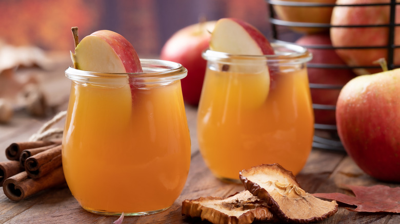 Two glasses of apple cider are garnished with apple slices.