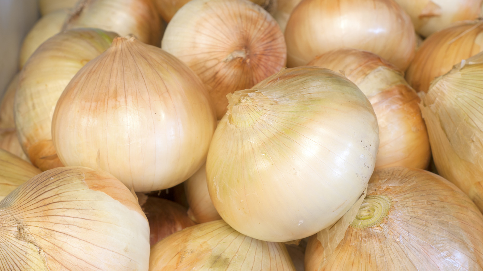 These Sweet Onions Are Only Grown In One US State