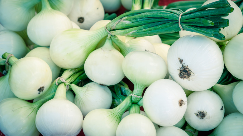 Walla Walla onions in bunches
