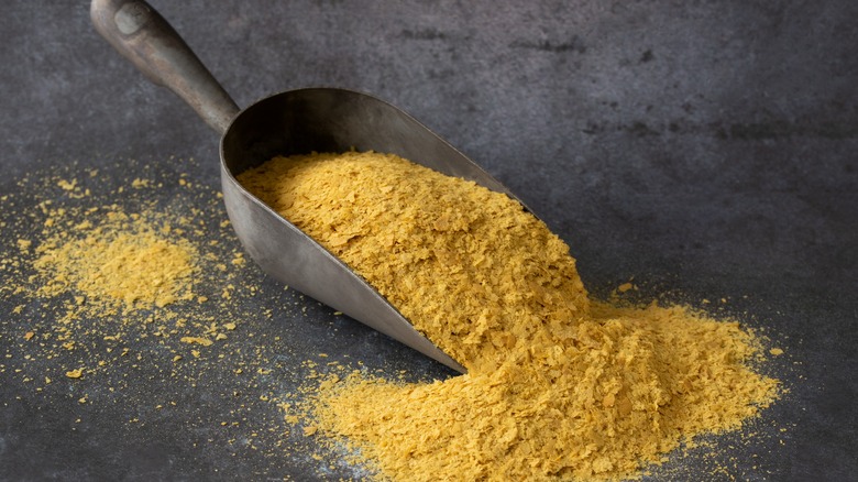 scoop of nutritional yeast