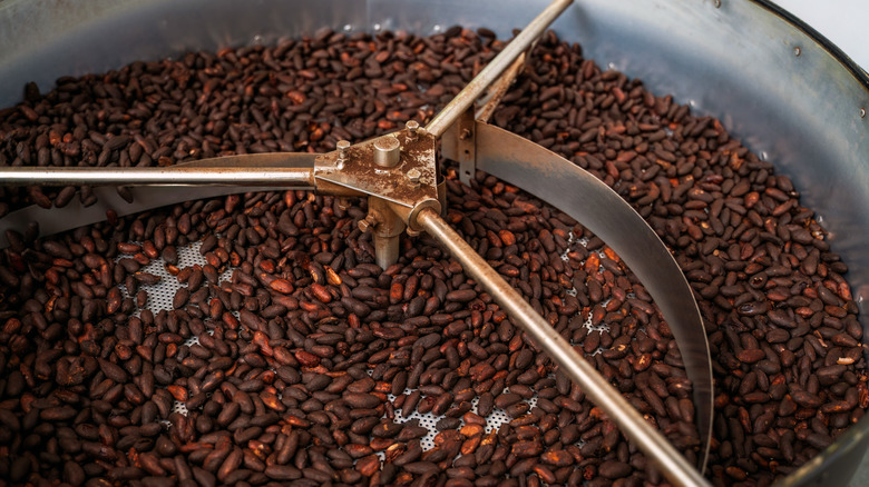 Close up of cacao beans being ground in a mill