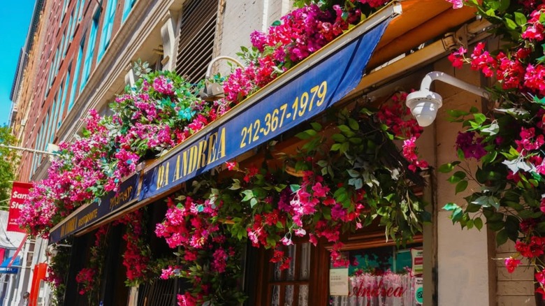 Front entrance of Da Andrea in NYC, covered in pink flower vines