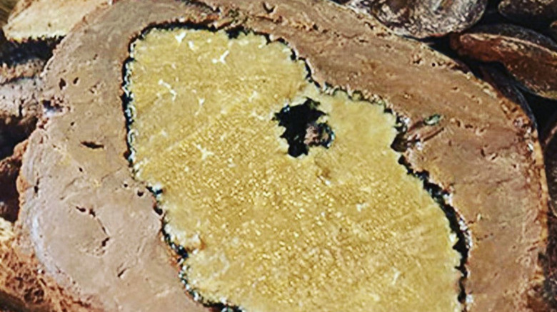 A cross-section of the La Madeline truffle