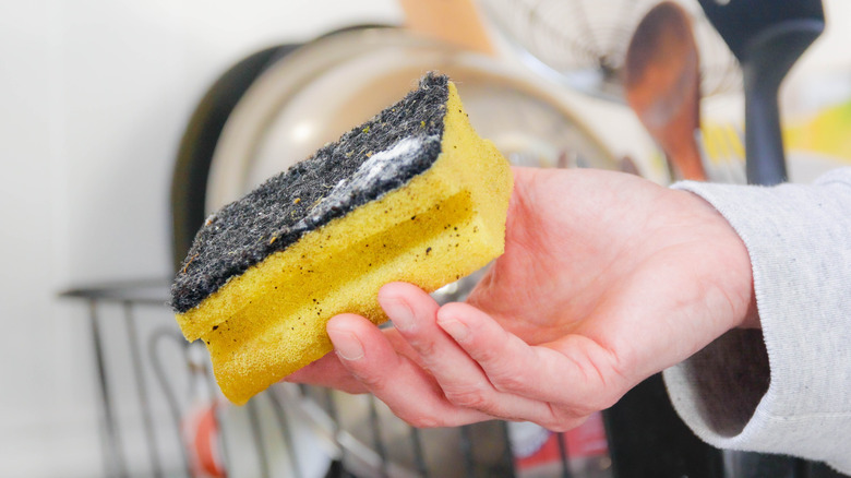 dirty kitchen sponge