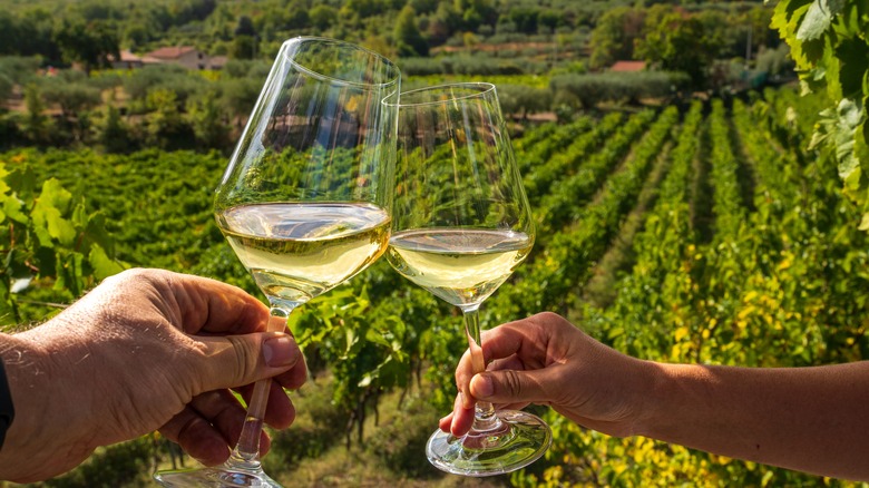 Two hands toasting their glasses of wine in a vineyard