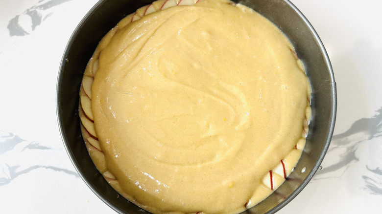 Apple cake batter in pan