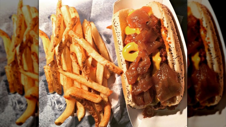 Hotdog-Opolis hotdog and fries