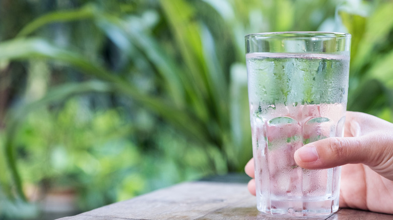 Hand holding glass of water in front of plants