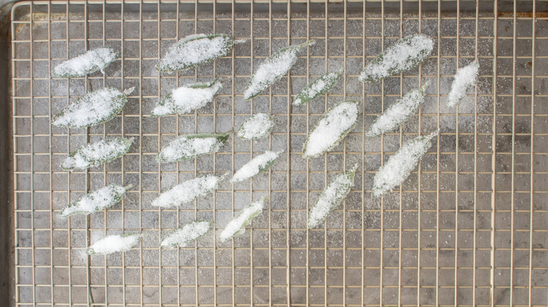 sugar-coated sage leaves on a wire rack