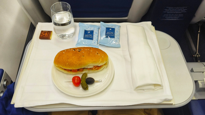 Sandwich sitting on a tray in an airplane