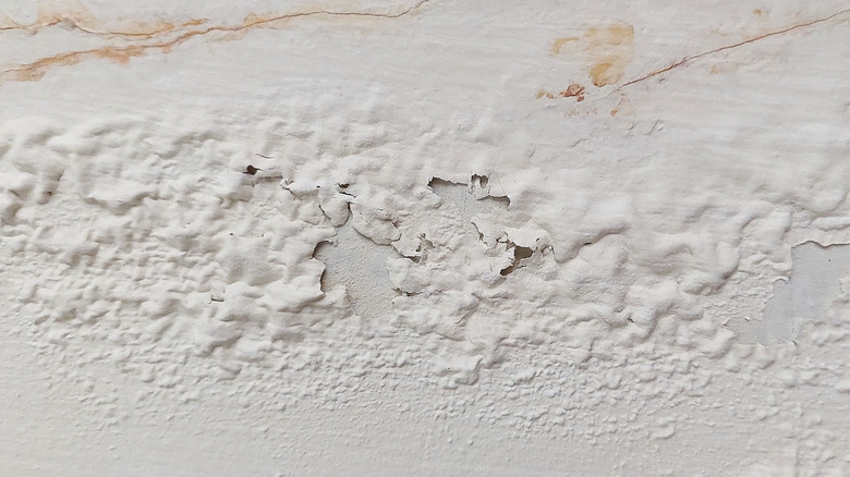 Paint that's bubbling and cracking on a wall.