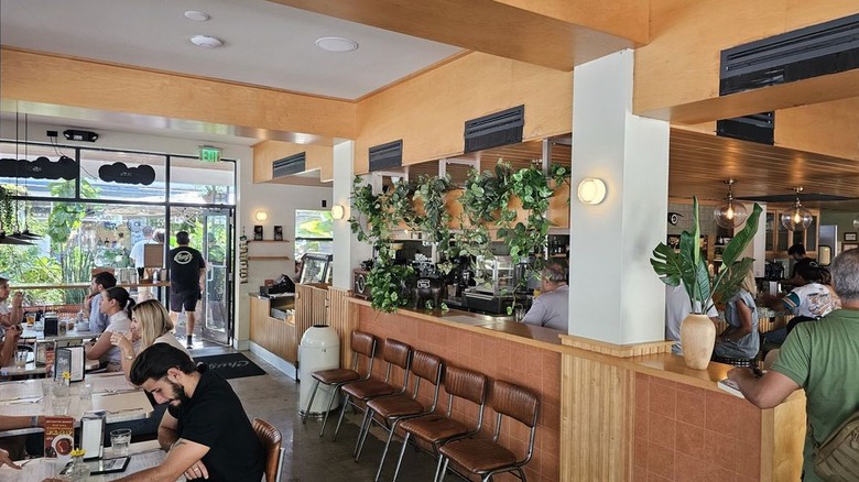 The bright, tropical interior of Chug's diner.