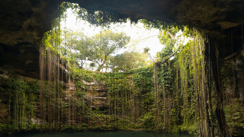 Inside the Ik-Kil cenote